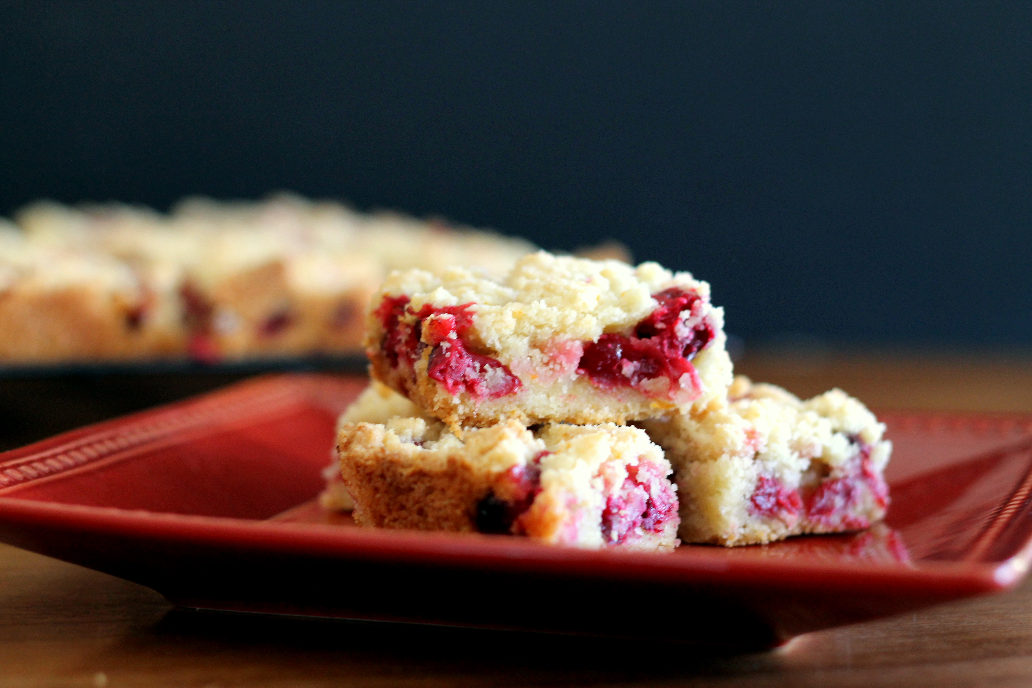 Cranberry Crumb Bars | These easy bars are sweet, tart, and delicious! (From Bakerita.com)