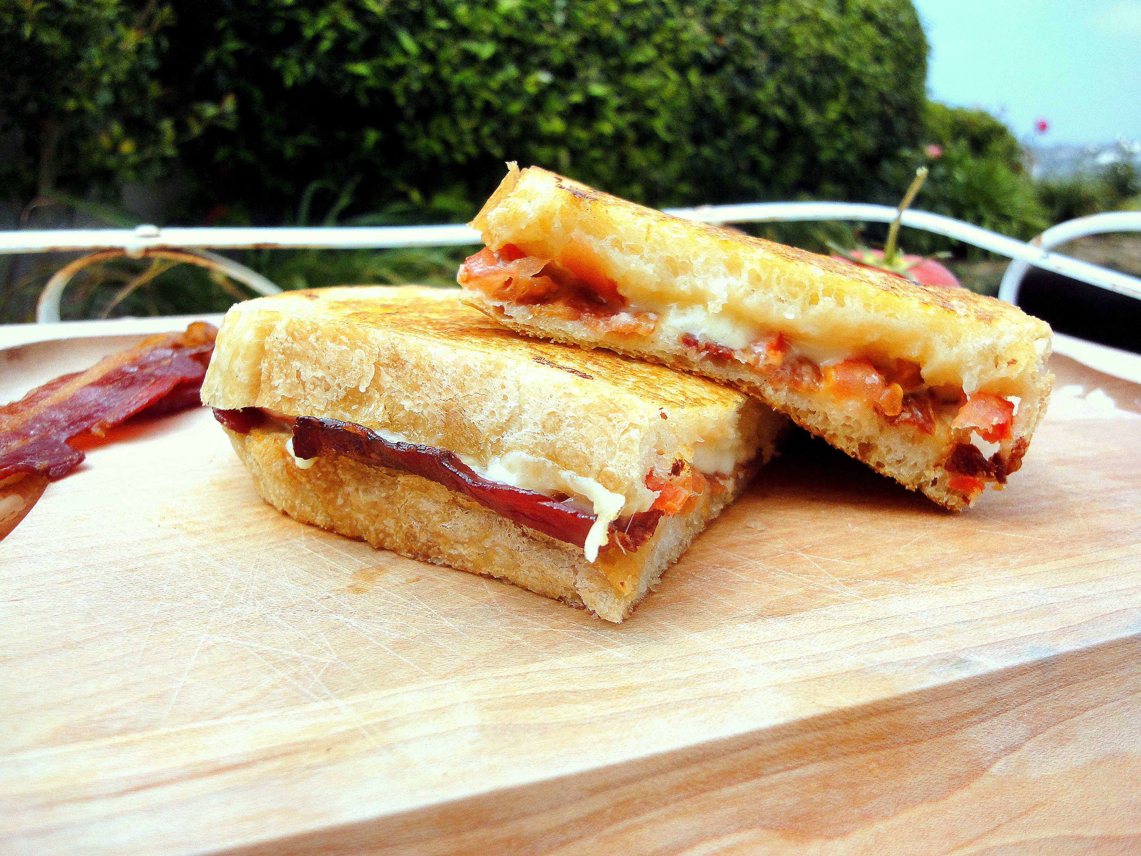 Bacon, Tomato, & Roasted Garlic Grilled Cheese