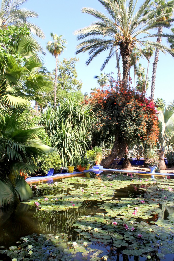 Jardin Majorelle Marrakech, Morocco from Bakerita's Abroad Bites
