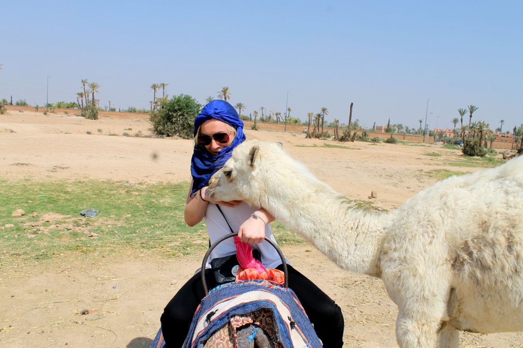 Camel Riding in Marrakech, Morocco from Bakerita's Abroad Bites