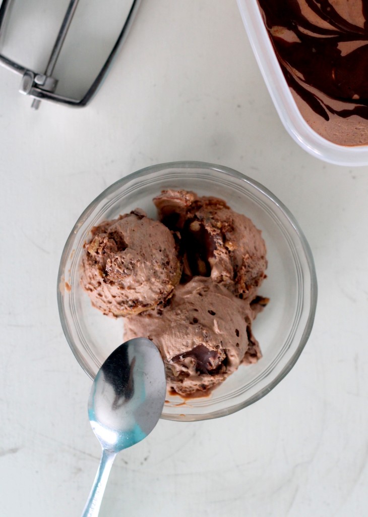 cookie dough fudge ice cream