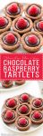 These Chocolate Raspberry Tartlets are super chocolatey bites - they have a chocolate shortbread crust filled with chocolate ganache and topped with a fresh raspberry. Satisfy your chocolate craving with one of these gluten-free, Paleo + vegan tartlets.