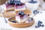 This No-Bake Layered Blueberry Cheesecake is a beautiful and easy-to-make Paleo-friendly + vegan cheesecake made with soaked cashews! The cheesecake layers are lusciously smooth and creamy with a tart, fruity topping.