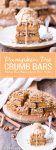 These Pumpkin Pie Crumb Bars have an oatmeal crust and crumble with a smooth and sweet pumpkin pie filling! You'll go nuts for this gluten-free, refined sugar-free and vegan portable pumpkin pie.