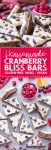 These Homemade Cranberry Bliss Bars are a homemade take on the Starbucks' holiday favorite! These cakey blondies are chewy and loaded with cranberry, orange, and white chocolate flavors. They're gluten free, paleo and vegan.