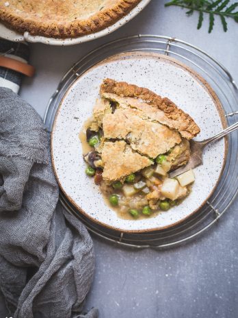 This Vegan Pot Pie has a scrumptious flaky gluten-free & paleo crust and the creamy filling is absolutely loaded with vegetables! This hearty, filling meal is perfect for chilly days and freezes well.