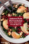 This Autumn Kale Harvest Salad brings together the best of fall's produce into a beautiful salad. It's made with thinly sliced kale, pomegranate seeds, Honeycrisp apple slices, candied almond slices, and tossed in a lusciously sweet and tangy Apple Cider Vinaigrette. It's healthy, simple, beautiful, and the perfect accompaniment to your holiday meal or autumn dinner table.